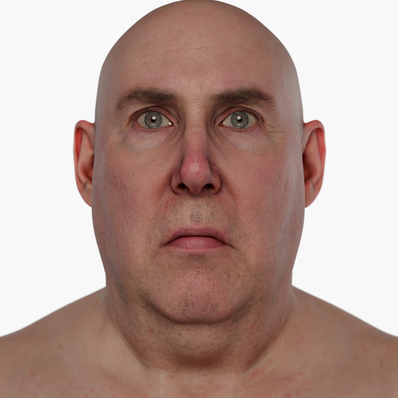 High-resolution 3D head scan of a middle-aged male with strong rounded features and smooth skin